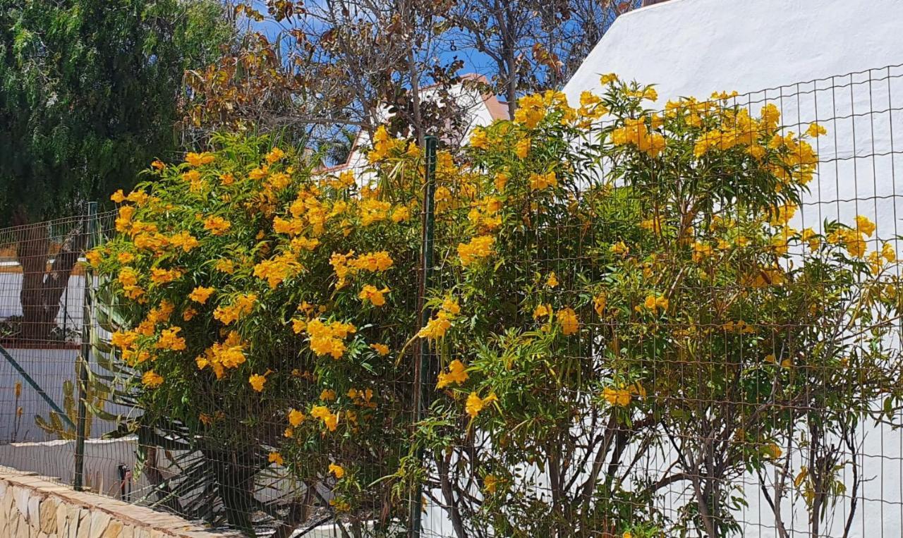 Casa Ocho Anos Appartamento Corralejo Esterno foto